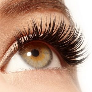 Eyelash and Eyebrow Tinting